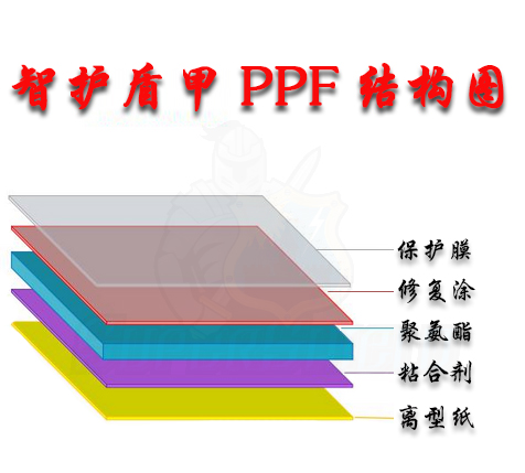 智护盾甲结构图.jpg